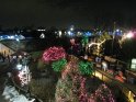 Toledo Zoo Lights 2008 001